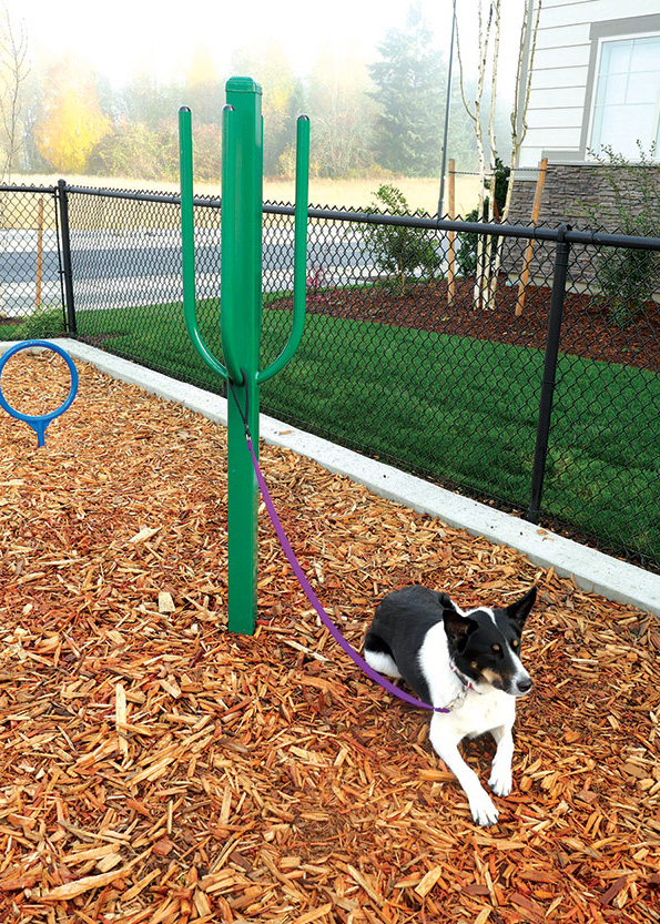 Doggie Hitching Post - Dog Park Equipment