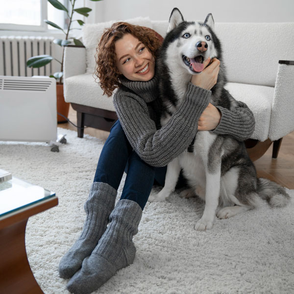 Happy Husky Dog with Owner in a clean living room